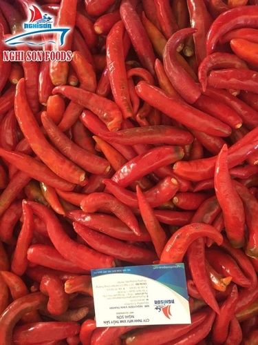 Fresh Red Chilli