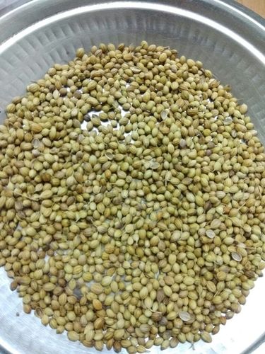 Coriander Seeds