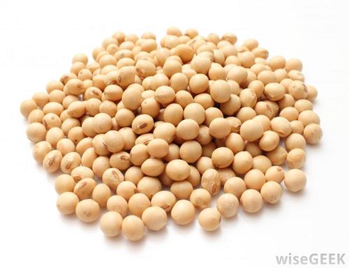 Non GMO Dried Cheap Soybeans