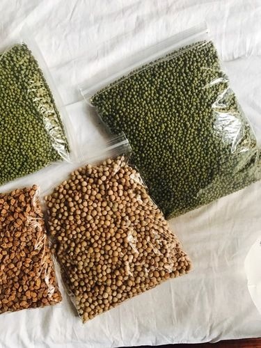 Pigeon Peas