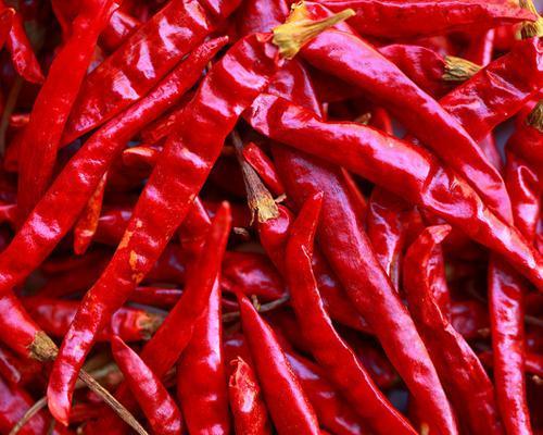 Dry Red Chillies