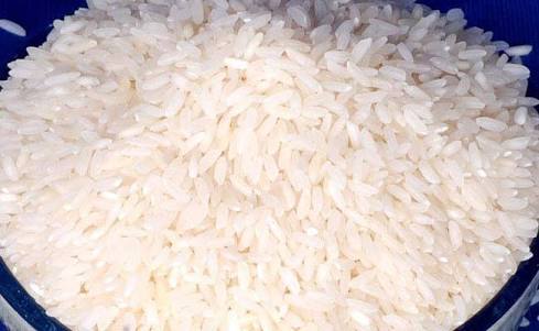 Organic Rice