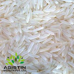 Basmati Rice - Long Grain Aromatic Variety | Superior Quality for Culinary Excellence