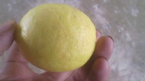 Fresh Lemon