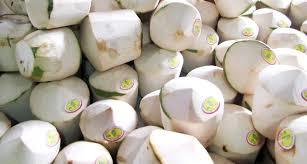 Fresh Coconut - Premium Quality, Enhanced Shelf Life & Optimum Purity | Ideal for Culinary and Nutritional Uses