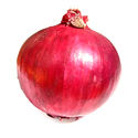 Jumbo Red Onion