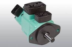 Fixed Displacement Double Vane Pump 