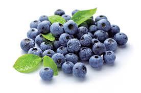 bilberry extract