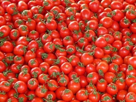 Fresh Tomatoes