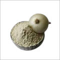 Spray Dried Onion Powder