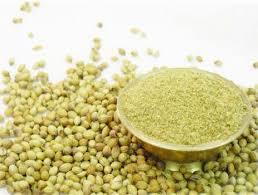 Coriander Powder - Premium Quality, Impurity-Free Processing , Rigorous Quality Checks