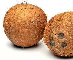 Full Husked Coconut