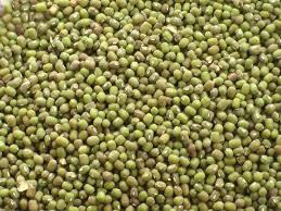 Green Millet - Nutrient-Rich Grains High in Healthy Fats, Versatile for Porridge and Stews