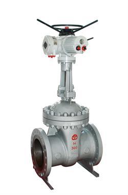 Bolt Bonnet Gate Valve