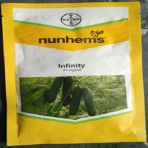  Nunhems Infinity F1 ककड़ी के बीज