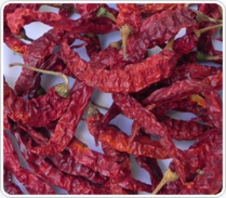 Dried Chillies