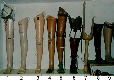 Skin Color Prosthetics Artificial Lower Limb