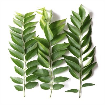 Curry Leaves