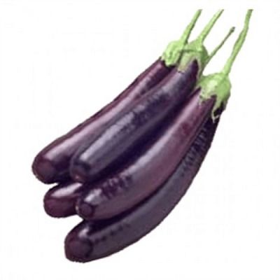 Fresh Long Brinjal 