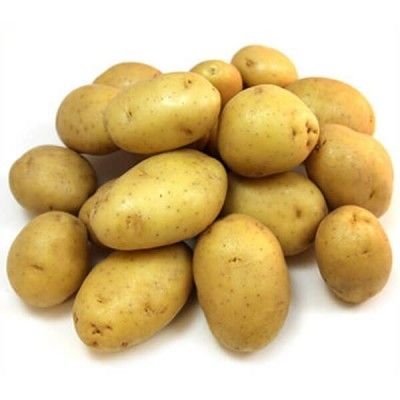 Fresh Potato