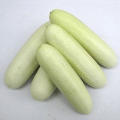 Fresh Quality Cucumber (W)