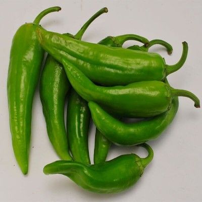 Green Chilli Pacador (Big)