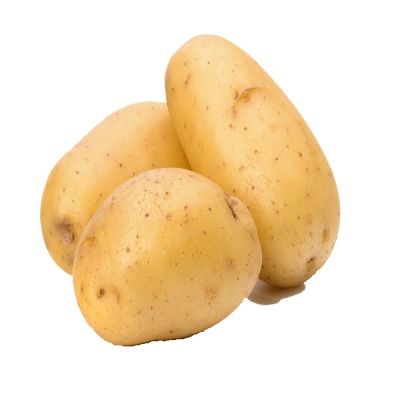 Premium Fresh Potato