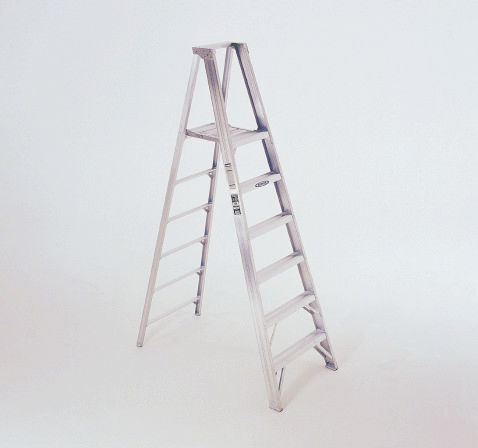 P406 Domestic Aluminium Ladder