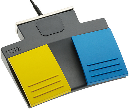 Two-Pedal Foot Switch For VioAR D/S