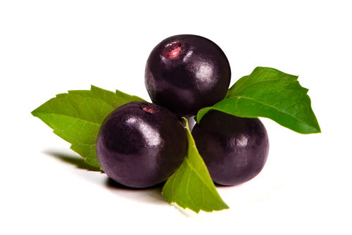 Acai Berry Extract Shelf Life: 24 Years