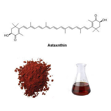 Astaxanthin - Antioxidant-Packed Carotenoid Supplement, Supports Brain Health, Vision Protection & Immune System Function