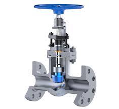 Globe Control Valve