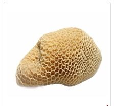 Honey Comb