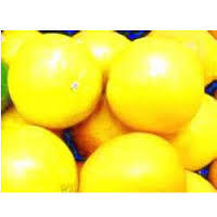 Industrial Yellow Dyes Balls