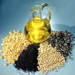 Oil And Oilseeds