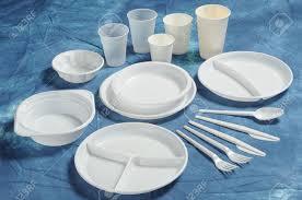 Disposable Plate - Biodegradable Material, 9-Inch Diameter , Durable and Elegant Design