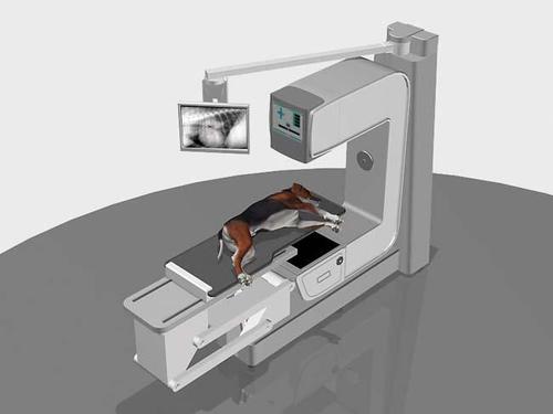 Veterinary X-Ray Machine