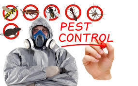 Yuvraj Pest Control Services