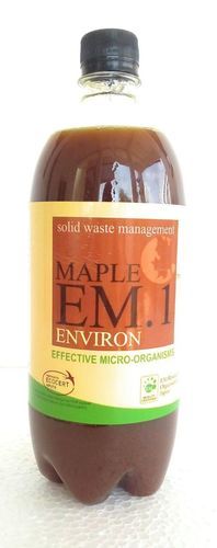 Maple EM 1 Environ