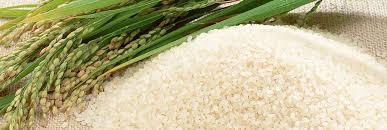 Quality Non Basmati Rice