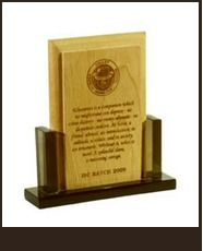 Plaques (W-301)