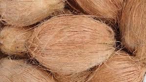 Brown Coconut - Husked, Semi Husked, Coconut Copra, Coconut Oil | Premium Quality, Versatile Usage, Market Leading Features