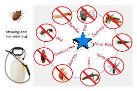 Pest Control Service