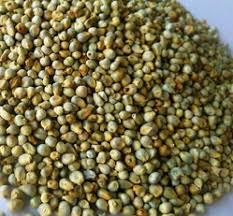 Organic Green Millet