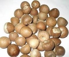 Dried Areca Nuts