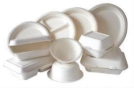 Disposable Thermocol Plates