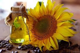 Excellent Taste Refined Sunflower Oil