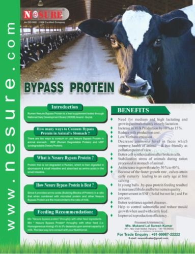 Bypass Protein Supplement