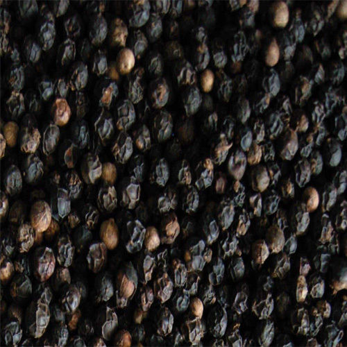 Black Pepper Seeds