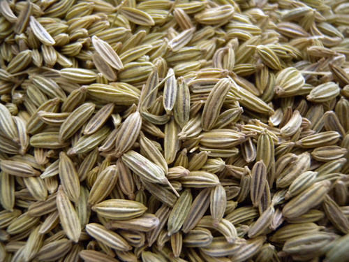 Fennel Seeds